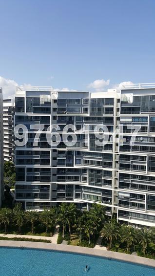 The Palette (D18), Condominium #205854931